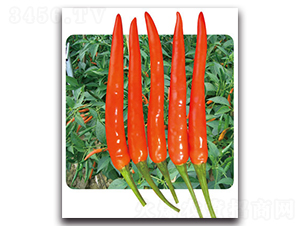 ��G���t-�����N��-���}�r(n��ng)�I(y��)