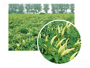 ��G���P��-�����N��-���}�r(n��ng)�I(y��)