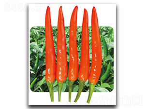 ��G�t��-�����N��-���}�r(n��ng)�I(y��)