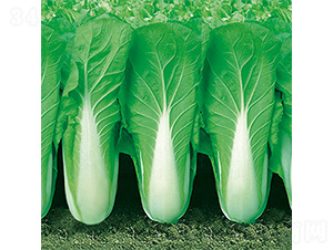 �֠����2̖(h��o)-��˷N��-�֠��r(n��ng)�I(y��)