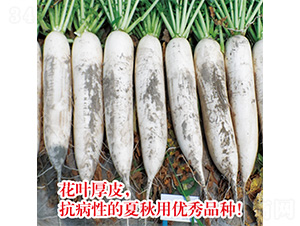 ����}��-�}���N��-�֠��r(n��ng)�I(y��)