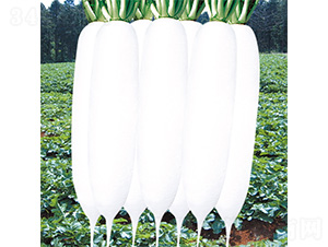 ������-�}���N��-�֠��r(n��ng)�I(y��)