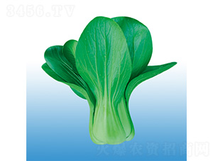 ��������-�๣�˷N��-�֠��r(n��ng)�I(y��)