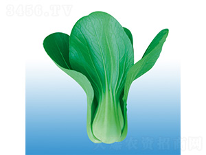 ���-�๣�˷N��-�֠��r(n��ng)�I(y��)