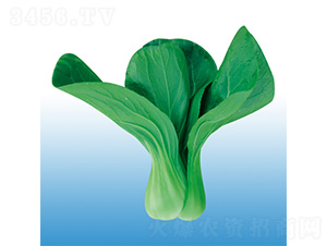 �\�-�๣�˷N��-�֠��r(n��ng)�I(y��)