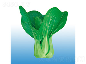 ����-�๣�˷N��-�֠��r(n��ng)�I(y��)