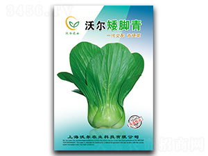 �֠����_��-�๣�˷N��-�֠��r(n��ng)�I(y��)