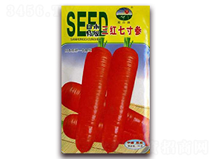 ���t�ߴ��˅�-�}���N��-�z��