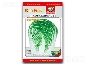 �z�����S-�ײ˷N��-�z��