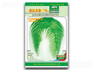 �������s3̖F1-�ײ˷N��-�z��