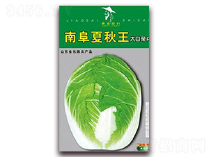 �ϸ�������-�ײ˷N��-�z��