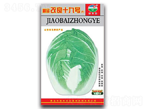 ��Ʒ����ʮ��̖F1-�ײ˷N��-�z��