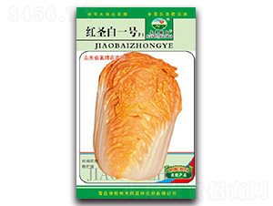 �tʥ��1̖F1-�ײ˷N��-�z��