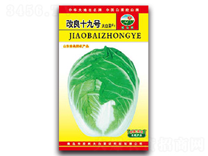 ����ʮ��̖-�ײ˷N��-�z��