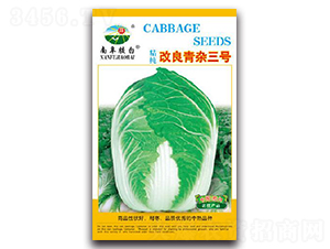 20g�������s��̖-�ײ˷N��-�z��