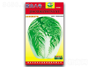 �z�װ�̖F1-�ײ˷N��-�z��