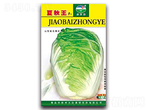 �z��������-�ײ˷N��-�z��