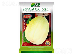 ���-��ϷN��-�S�T�N�I(y��)