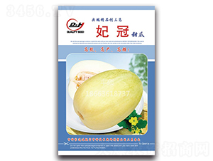 �������-��ϷN��-�S�T�N�I(y��)