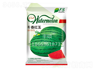 �紺�t��-���ϷN��-�S�T�N�I(y��)