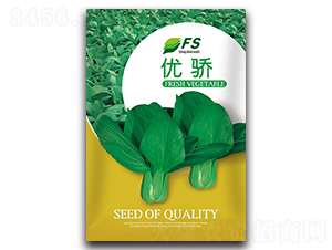 �n�-�๣�˷N��-�S�T�N�I(y��)