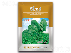 �ٵ�˹F1-�๣�˷N��-�S�T�N�I(y��)