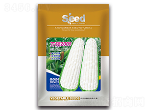 �f�T2000-��Ŵ���׷N��-�S�T�N�I(y��)