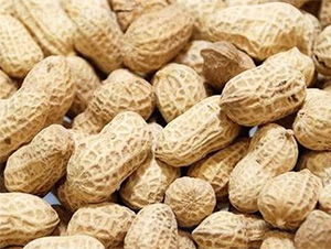 ����4̖(h��o)-�����N��-���S�r(n��ng)�I(y��)