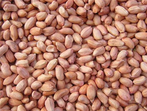 ����16̖(h��o)-�����N��-���S�r(n��ng)�I(y��)