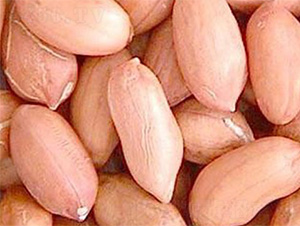 ����1̖(h��o)-�����N��-���S�r(n��ng)�I(y��)