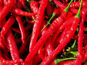 DIVA165-�����N��-���S�r(n��ng)�I(y��)