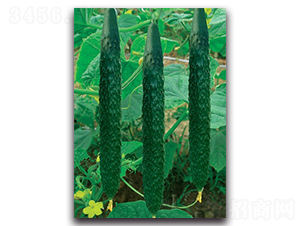 �G��(y��u)һ̖-�S�ϷN��-����N�I(y��)