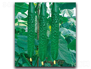 �t��555�S��-�S�ϷN��-����N�I(y��)