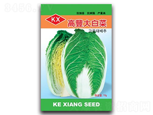 ���S��ײ�-��ײ˷N��-����N�I(y��)