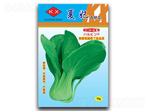 ����-�๣�˷N��-����N�I(y��)