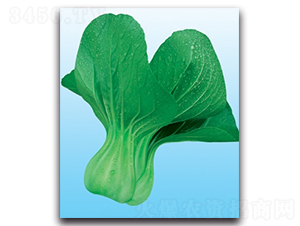 ���A�๣��-�๣�˷N��-����N�I(y��)