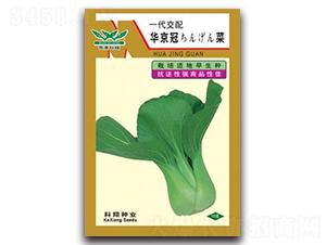 �A����-�๣�˷N��-����N�I(y��)