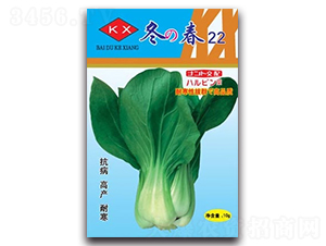 ����22�๣��-�๣�˷N��-����N�I(y��)