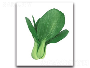 �A�ļt3̖�๣��-�๣�˷N��-����N�I(y��)