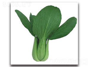 �A�ļt2̖�๣��-�๣�˷N��-����N�I(y��)