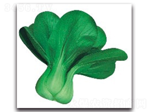 ����4̖-�๣�˷N��-����N�I(y��)