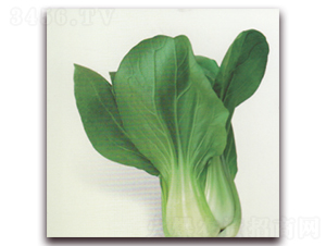 �Ͷ���22�๣��-�๣�˷N��-����N�I(y��)