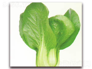 ����22̖-�๣�˷N��-����N�I(y��)