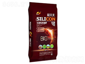 �����ЙC����-����-�����ʘI(y��)