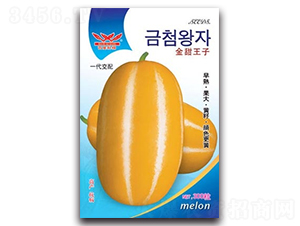 ��������-��ϷN��-����N�I(y��)