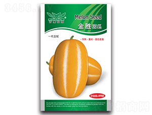 �������-��ϷN��-����N�I(y��)