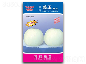 ����-��ϷN��-����N�I(y��)