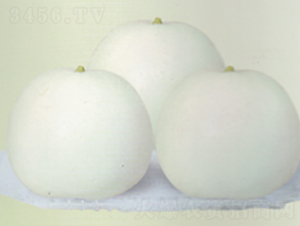 �������-��ϷN��-����N�I(y��)