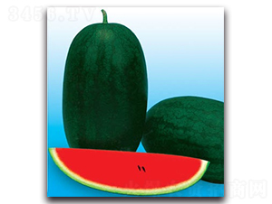 �_��������-���ϷN��-����N�I(y��)