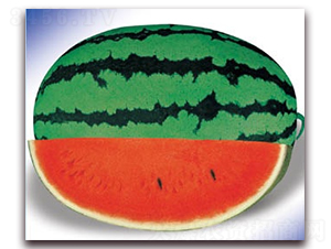 �����쌚-���ϷN��-����N�I(y��)